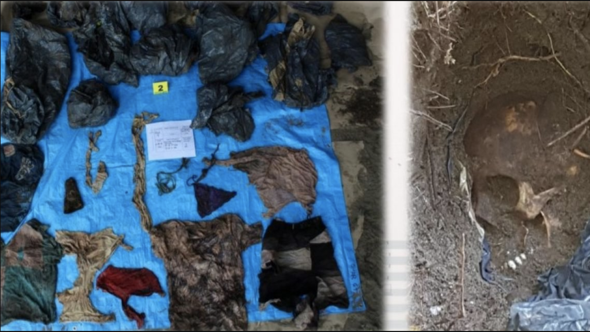 Hallan 166 cuerpos en fosas de Veracruz