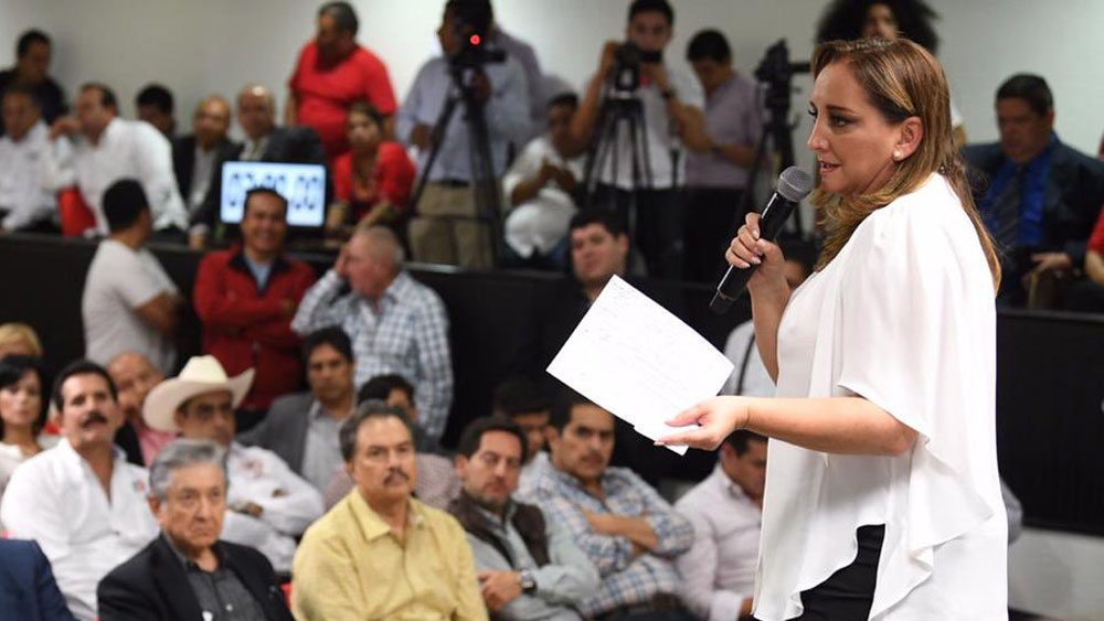 Ruiz Massieu niega tema prohibido de cara a reforma del PRI