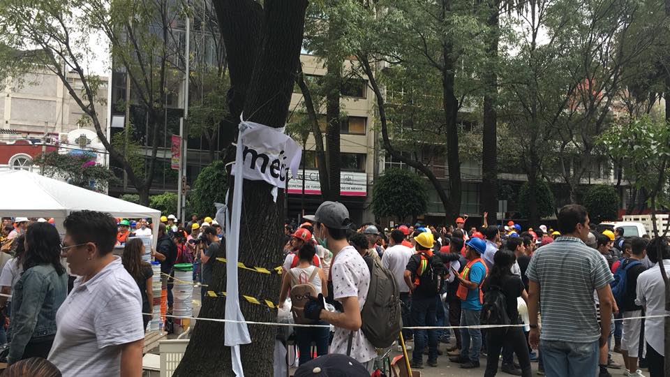 Todavía no se entregan 2 mil 800 tarjetas de apoyos por sismos - sismo19s12