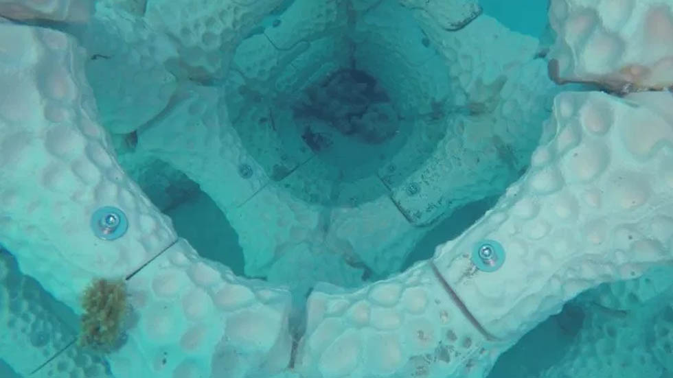 La nueva propuesta en 3D para salvar los arrecifes de coral - tecnologia-3d-arrecifes-de-coral-2