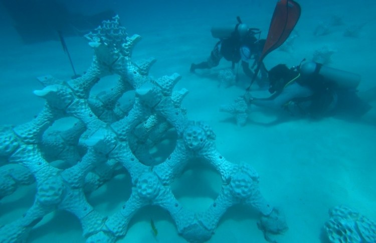 La nueva propuesta en 3D para salvar los arrecifes de coral - tecnologia-3d-arrecifes-de-coral-3
