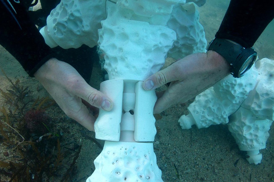 La nueva propuesta en 3D para salvar los arrecifes de coral - tecnologia-3d-arrecifes-de-coral-4