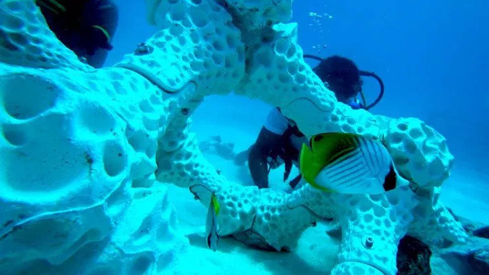 La nueva propuesta en 3D para salvar los arrecifes de coral