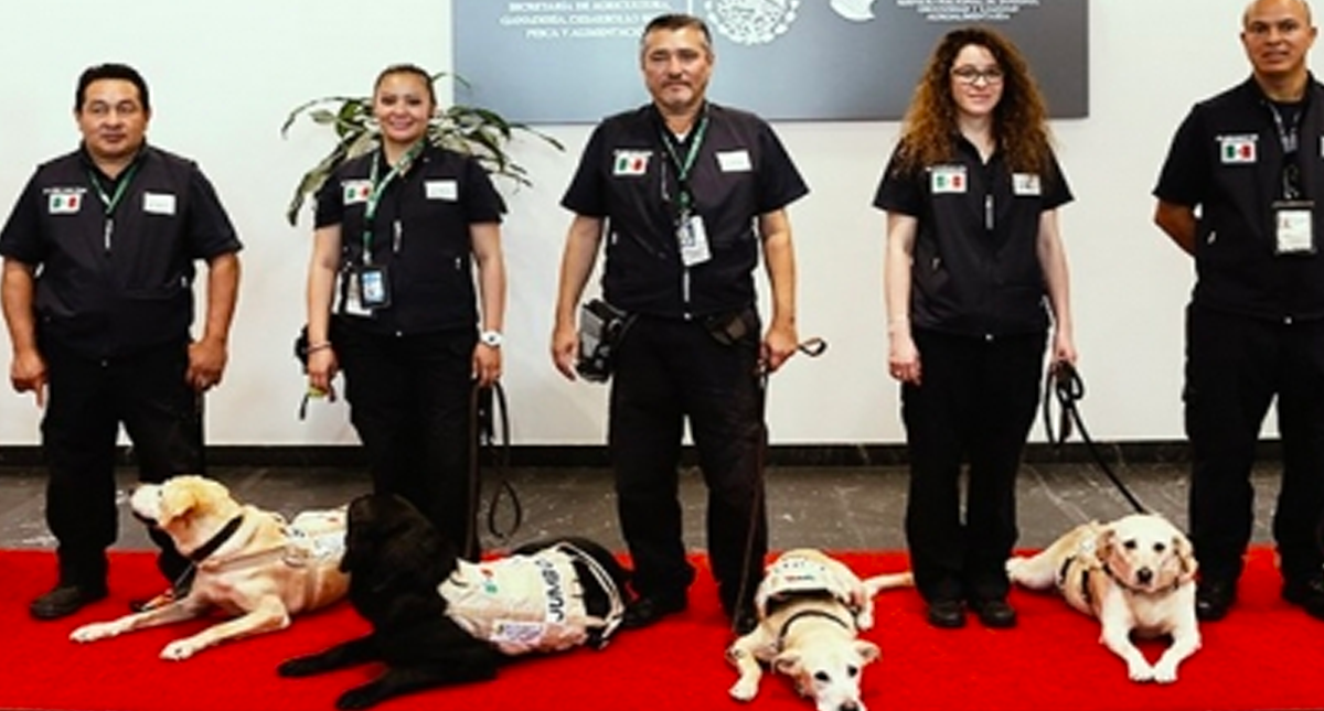 Despiden con honores a unidad canina de inspección sanitaria