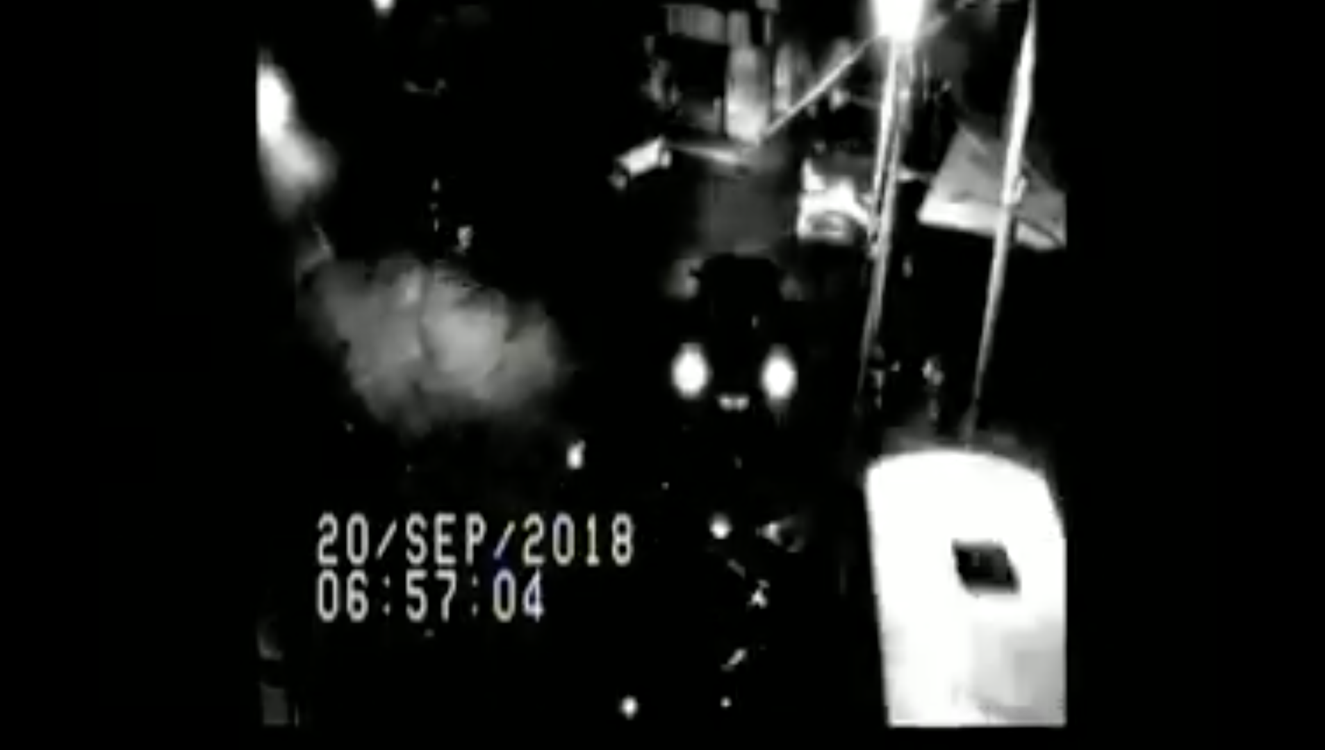 #Video Así ocurrió el accidente de microbús en la GAM