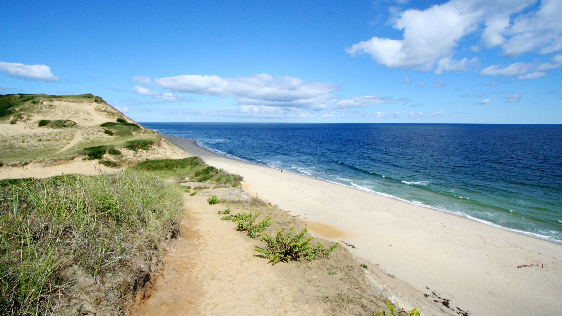 Muere joven en inusual ataque de tiburón de Massachusetts - wellfleet-2