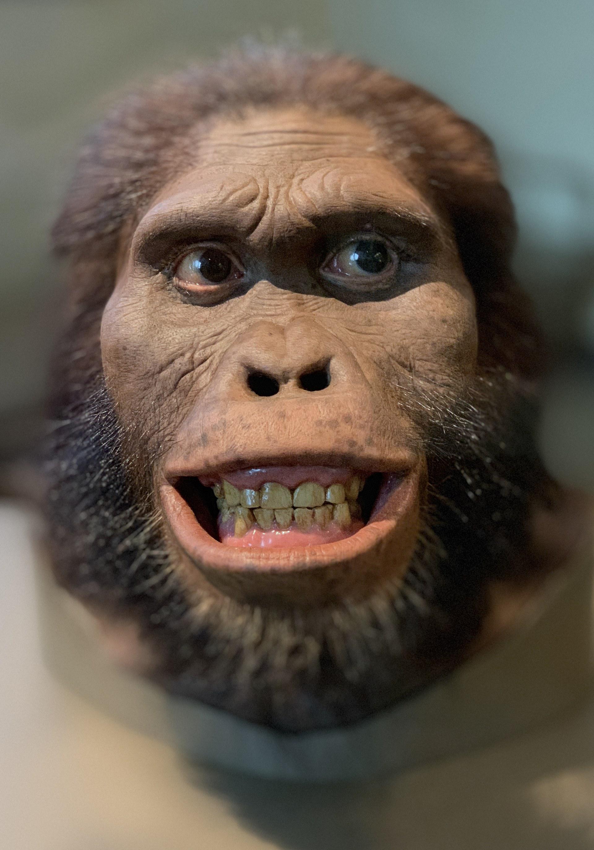 Exfotógrafo de la Casa Blanca revela primeras fotos tomadas con iPhone XS - wwwdailymailco-uk-4518-504dbbf600000578-0-image-a-53-1537199934824