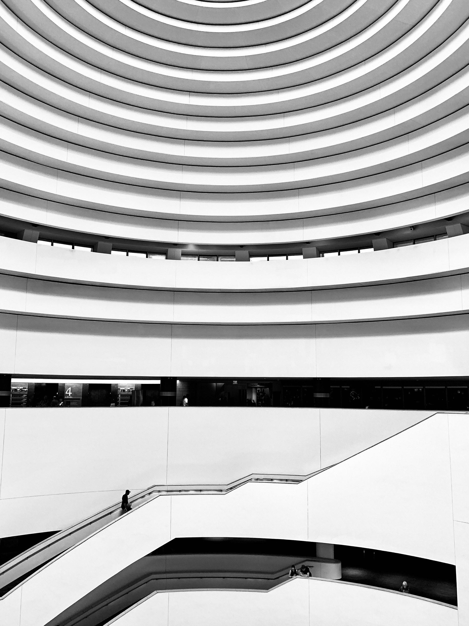 Exfotógrafo de la Casa Blanca revela primeras fotos tomadas con iPhone XS - wwwdailymailco-uk-5935-504dbcbd00000578-0-image-a-21-1537199453942