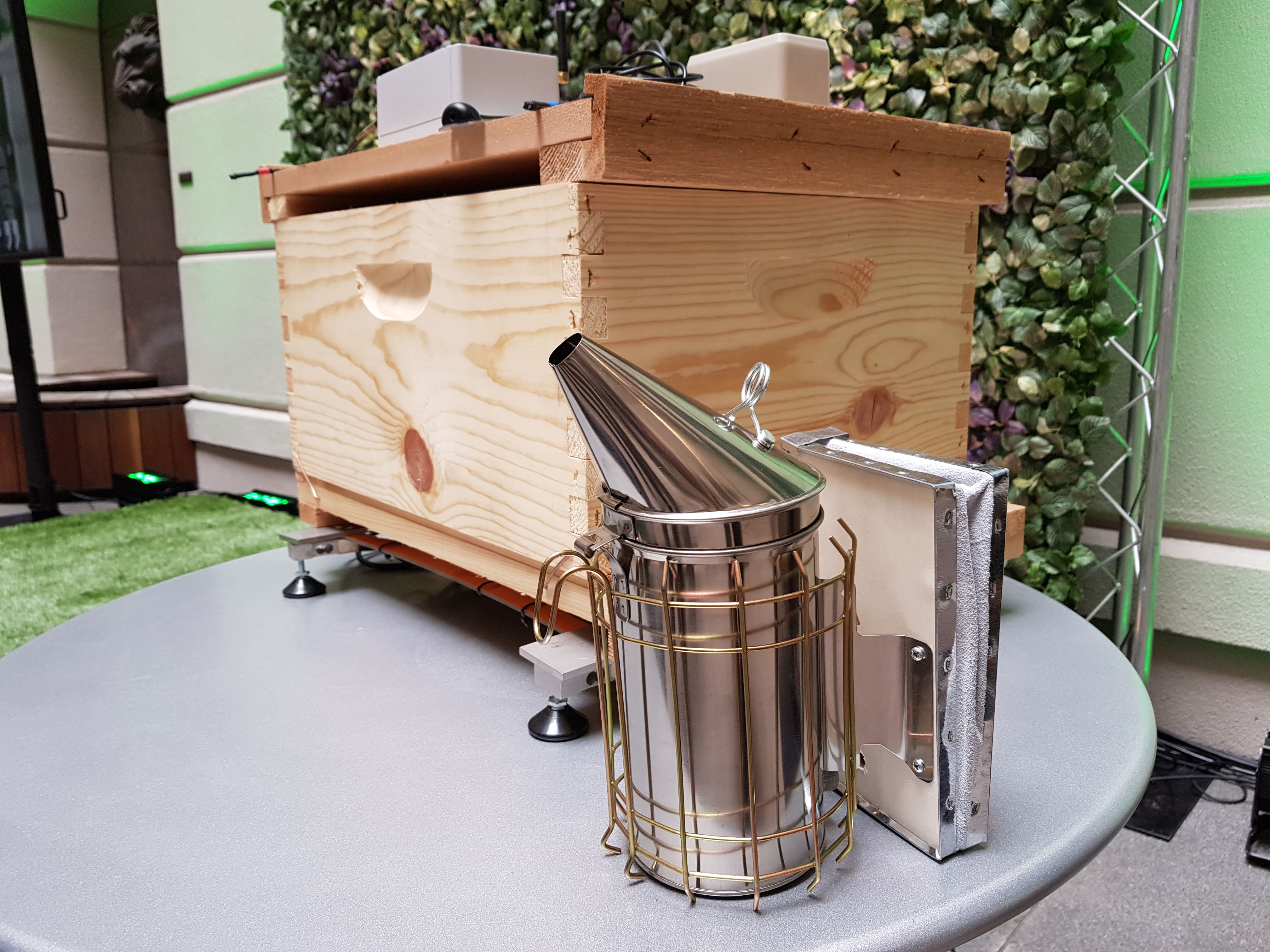 Salvan a las abejas ‘conectándolas a la nube’