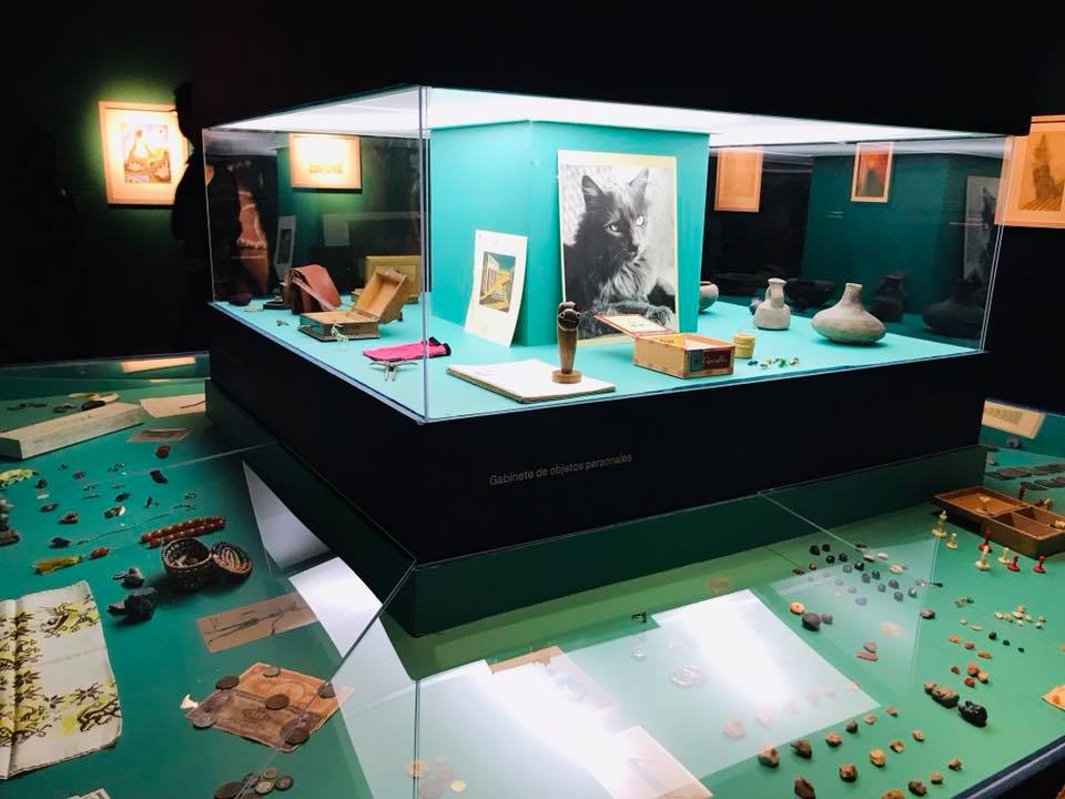 Inauguran exposición sobre Remedios Varo en el Museo de Arte Moderno - 44318131-10217531623106311-1551098057079128064-n