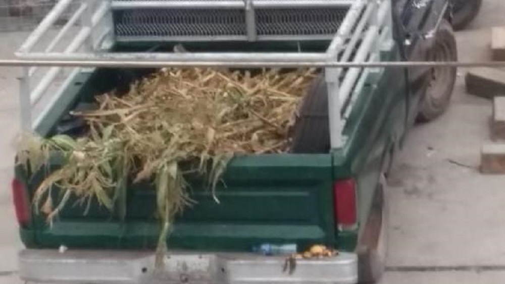 Abandonan cinco cuerpos desmembrados frente a mercado en Chilpancingo