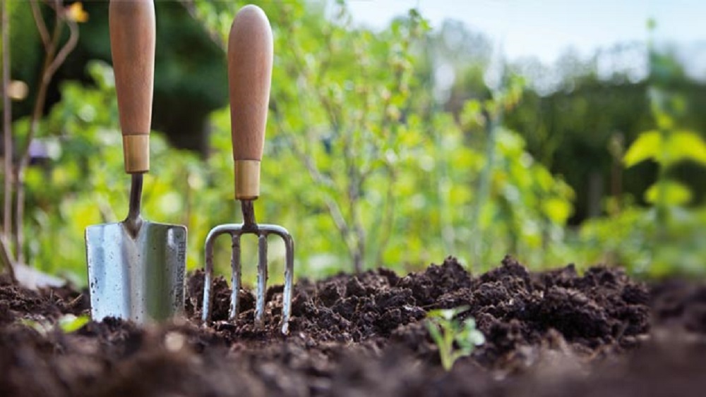 Urgen a reducir consumo de carne para aminorar cambio climático - agricultura-sostenible