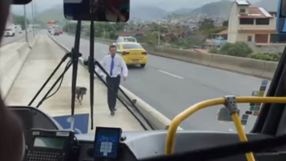 #Video Aplauden a chofer de autobús por rescatar a perro
