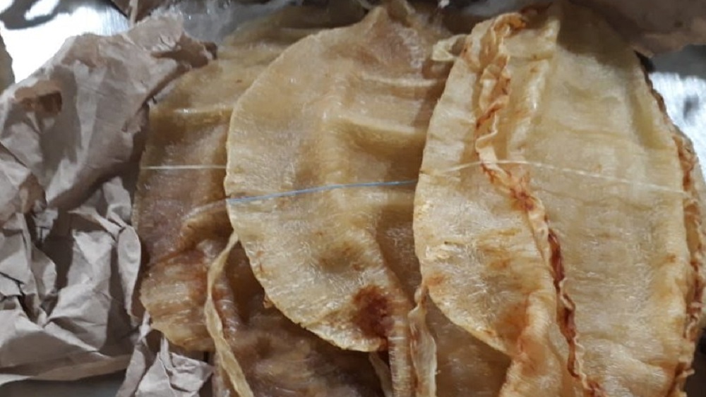 Aseguran 271 buches de totoaba dentro de maleta en AICM - aseguran-271-buches-de-totoaba-dentro-de-maleta-en-el-aicm