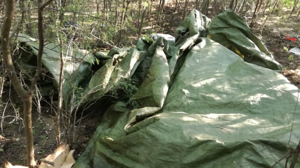 Aseguran cargadores, munición y equipo táctico en Tamaulipas - aseguran-municion-equipo-tactico-tamaulipas-2