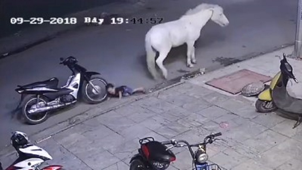 #Video Caballo patea a niño pequeño que jugaba sin supervisión - caballo-patea-a-nino-pequeno