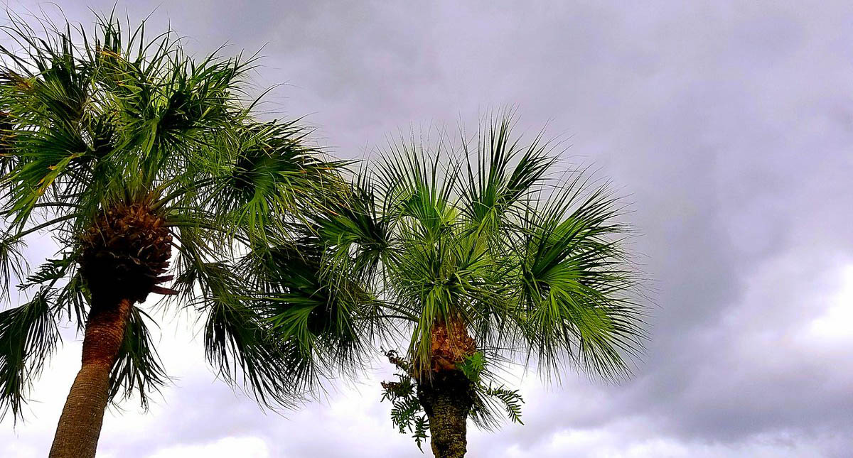 Depresión Tropical 14 provocará tormentas intensas al sur del país