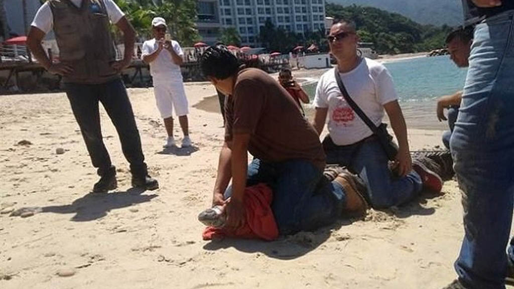 #Video Atrapan a cocodrilo en playa de Puerto Vallarta - cocodrilo-puerto-vallarta-3
