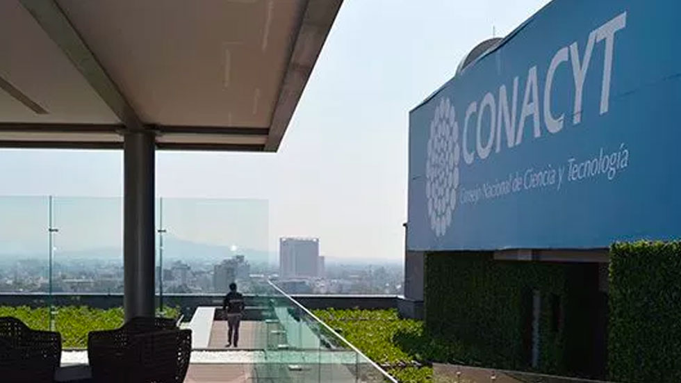 Desmiente María Elena Álvarez-Buyllá Roces cancelación de becas