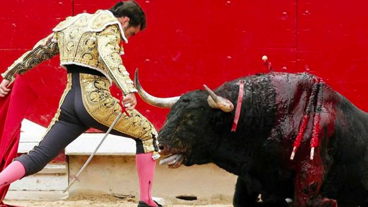Morena plantea prohibir corridas de toros en la CDMX Morena plantea prohibir corridas de toros en la CDMX