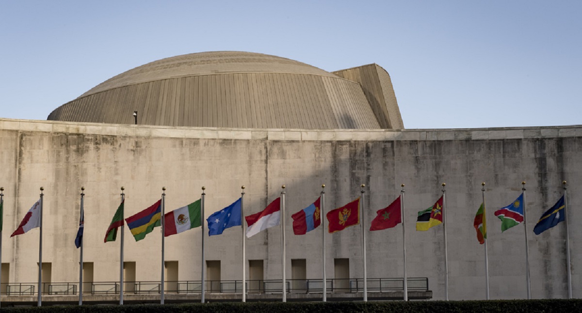 #Video Naciones Unidas celebra 73 años de creación