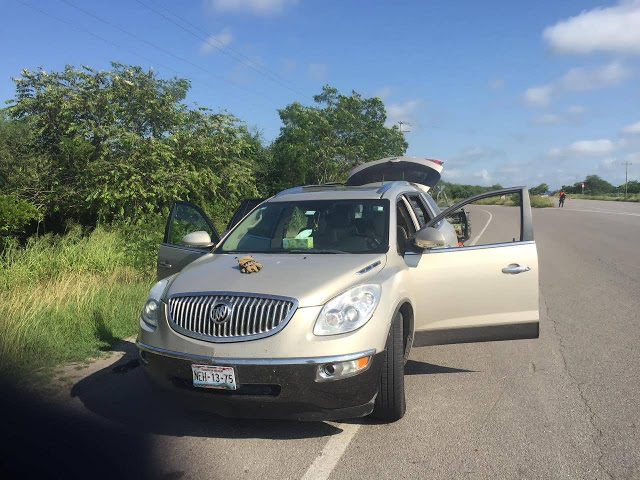 Decomisan 2 mdd en efectivo en Tamaulipas - decomiso-de-dolares