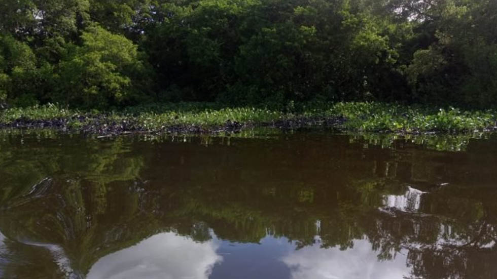 Derrama de combustible de Pemex alcanza el río Coatzacoalcos - derrame-de-petroleo-coatzacoalcos-pemex-combustible-2