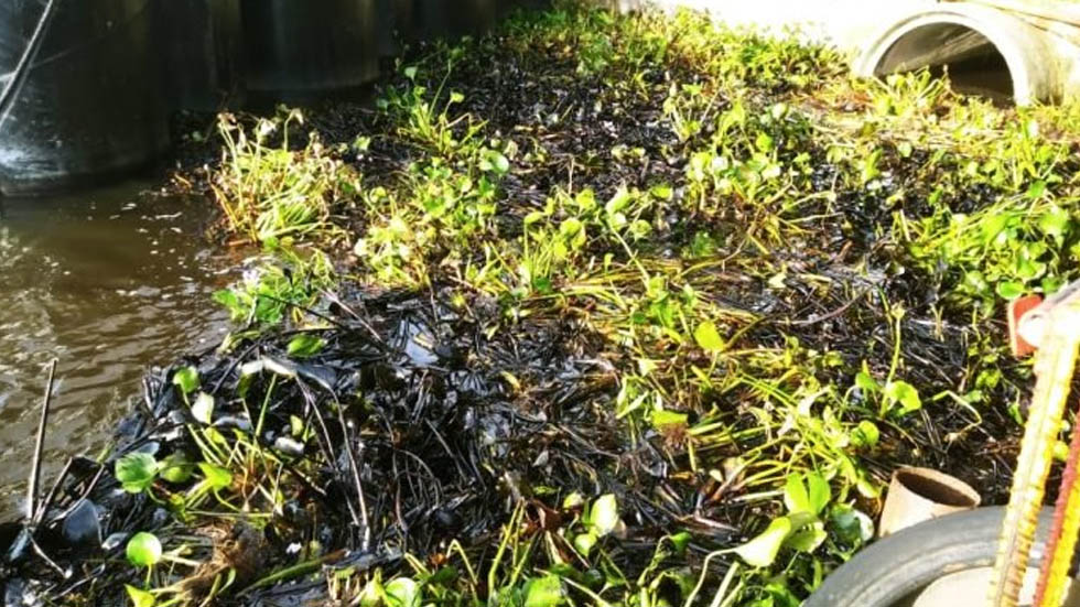 Derrama de combustible de Pemex alcanza el río Coatzacoalcos - derrame-de-petroleo-coatzacoalcos-pemex-combustible-3