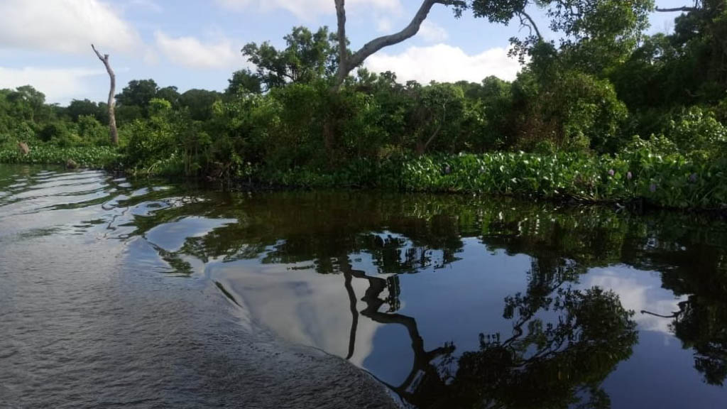 Derrama de combustible de Pemex alcanza el río Coatzacoalcos
