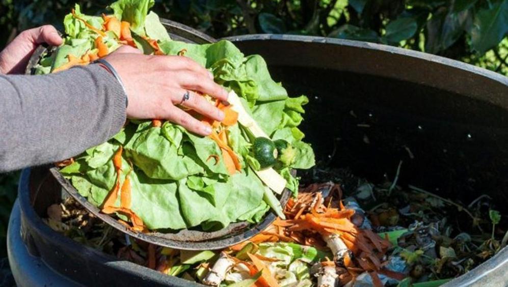 Desperdicio de alimentos cuesta al país 25 mil mdd al año - desperdicio