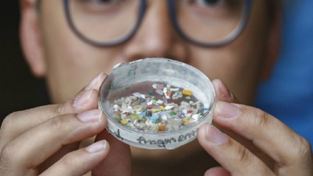 Dieta de humanos incluye microplásticos