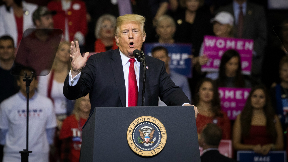 Trump busca terminar con ciudadanía por nacimiento a hijos de indocumentados - donald-trump-rally