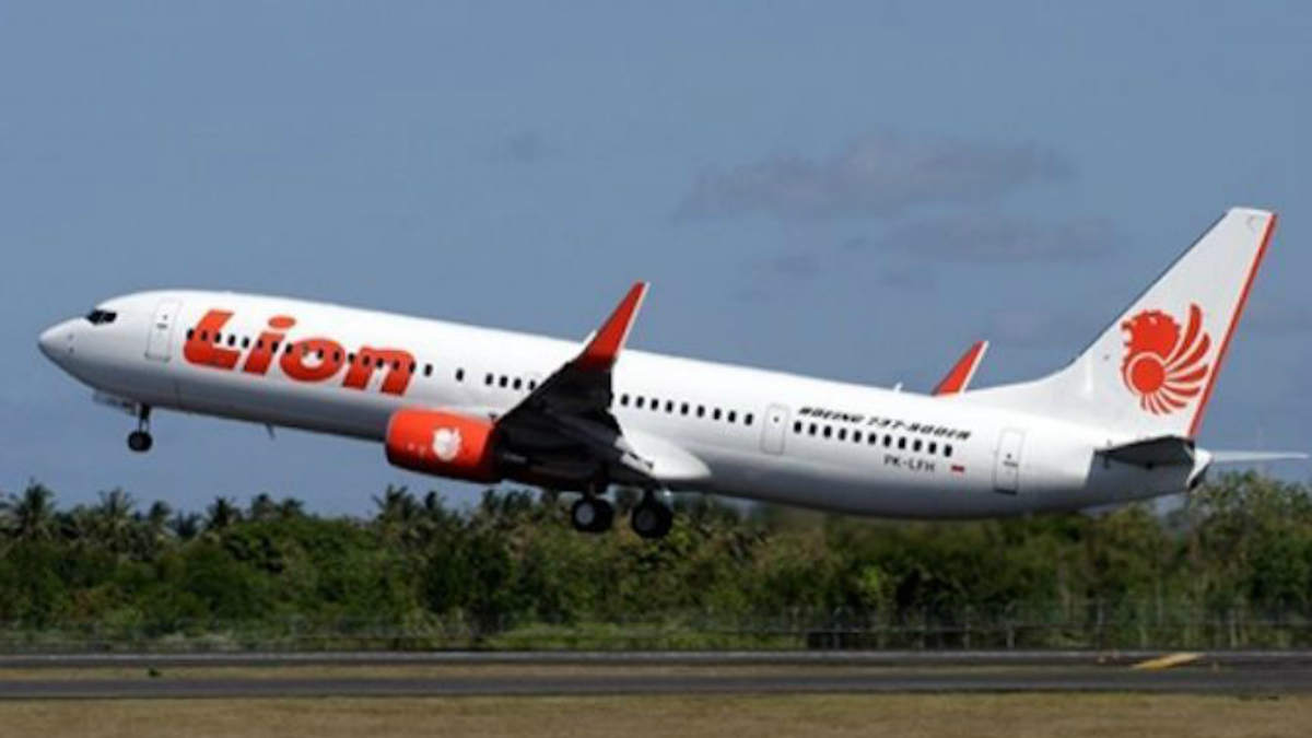 El papa envía sus condolencias por accidente de avión en Indonesia