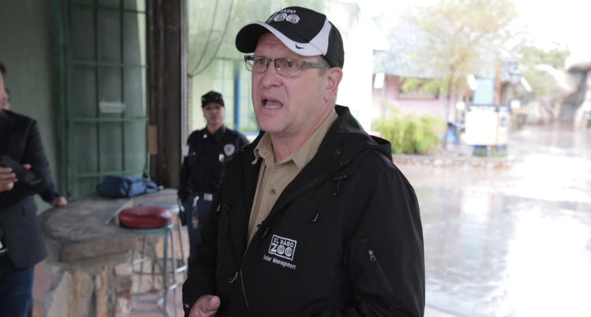 Cierran zoológico de El Paso por avistamiento de puma