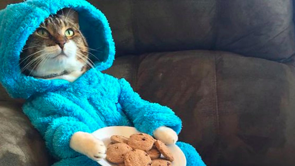 Embajada de EE.UU. en Canberra envía invitación a pijamada por error