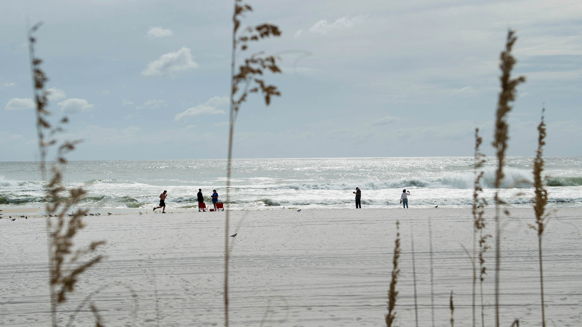 Donald Trump declara a Florida en estado de emergencia