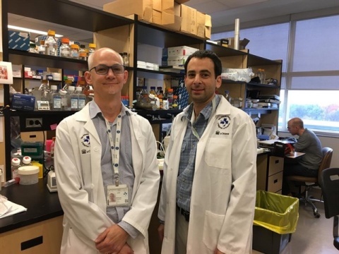 Tratamiento experimental logra tratar la leucemia mieloide aguda - fotonoticia-20181023121446-640