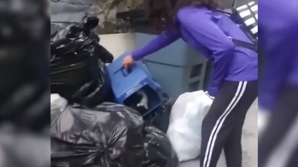 #Video Rescatan a gato abandonado entre basura en Nueva York