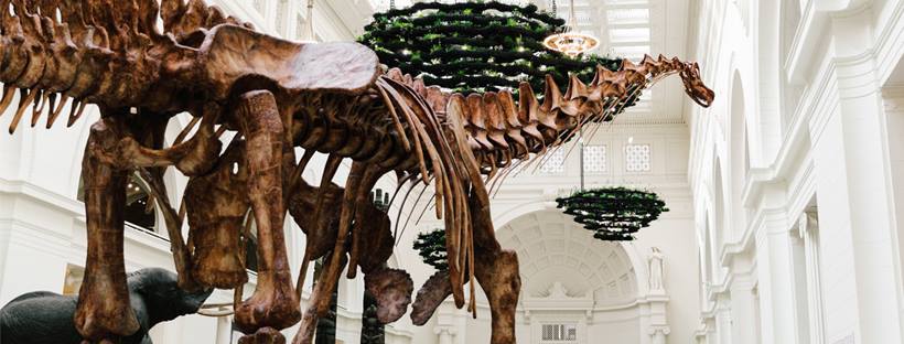 Guía para visitar Chicago - guia-visitar-chicago-7