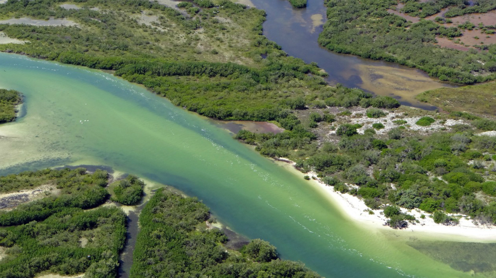 Programa de conservación prohíbe el plástico en Holbox, Quintana Roo - holbox-3