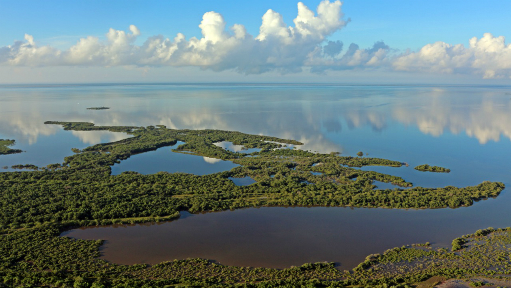 Programa de conservación prohíbe el plástico en Holbox, Quintana Roo