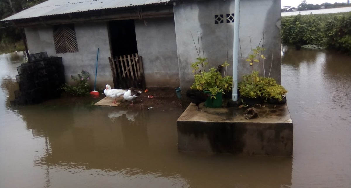 Se desborda el río Papaloapan e inunda Tlacotalpan, Veracruz