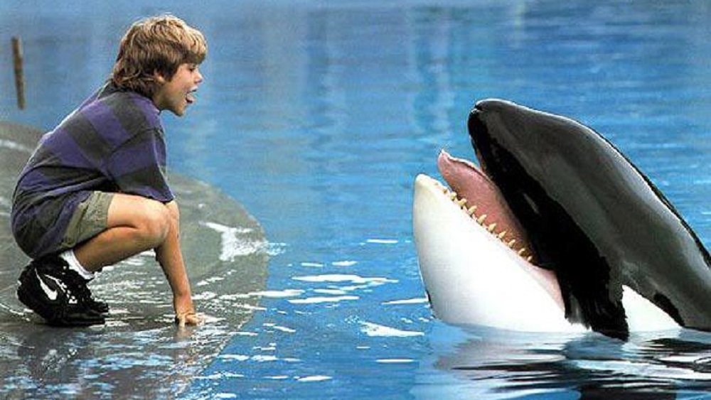 Las noticias de la semana (del 14 al 20 de octubre) - liberen-a-willy