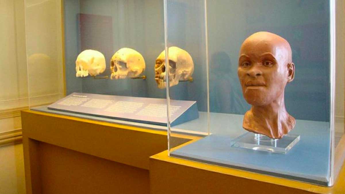 Hallan fragmentos del fósil Luzia bajo escombros del Museo Nacional de Brasil