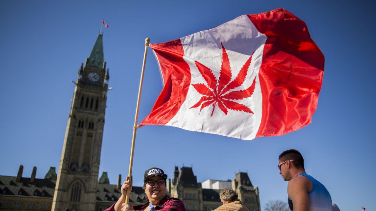 Canadá prepara histórica legalización de la mariguana