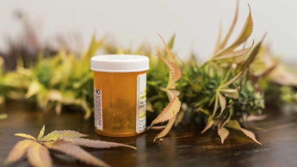 Cofepris alista lineamientos para comercializar cannabis - mariguana-medicinal