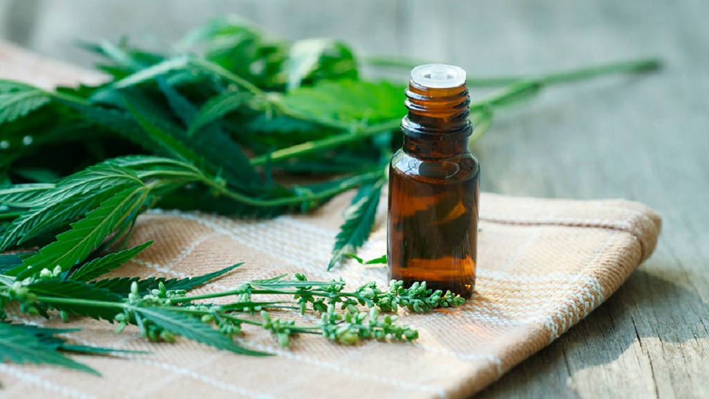 Cofepris alista lineamientos para comercializar cannabis