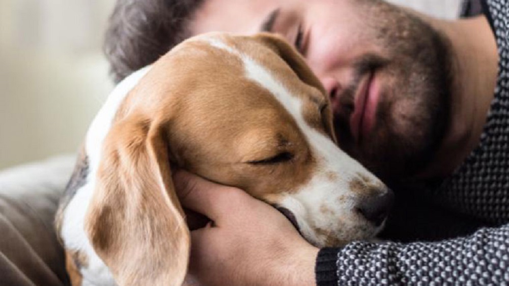 Proponen que mascotas puedan heredar en la Ciudad de México