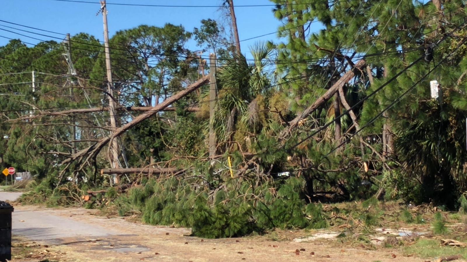 Suman 12 muertos tras paso de Michael en EE.UU. - michael-florida-buzz1
