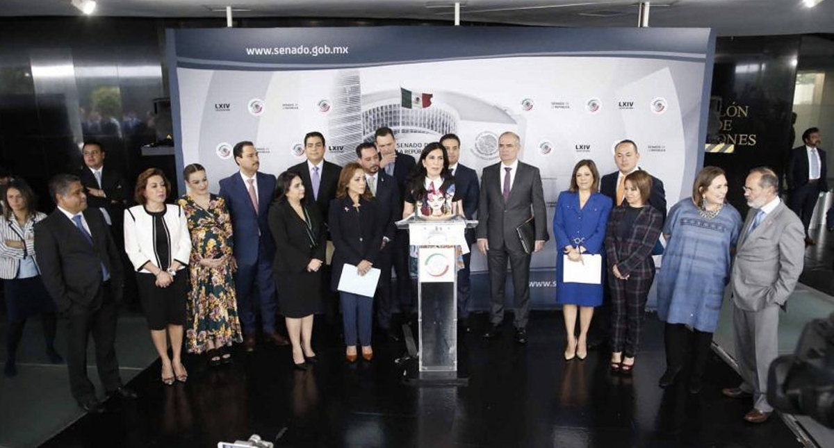 Hay gato encerrado en consulta del NAIM: PAN